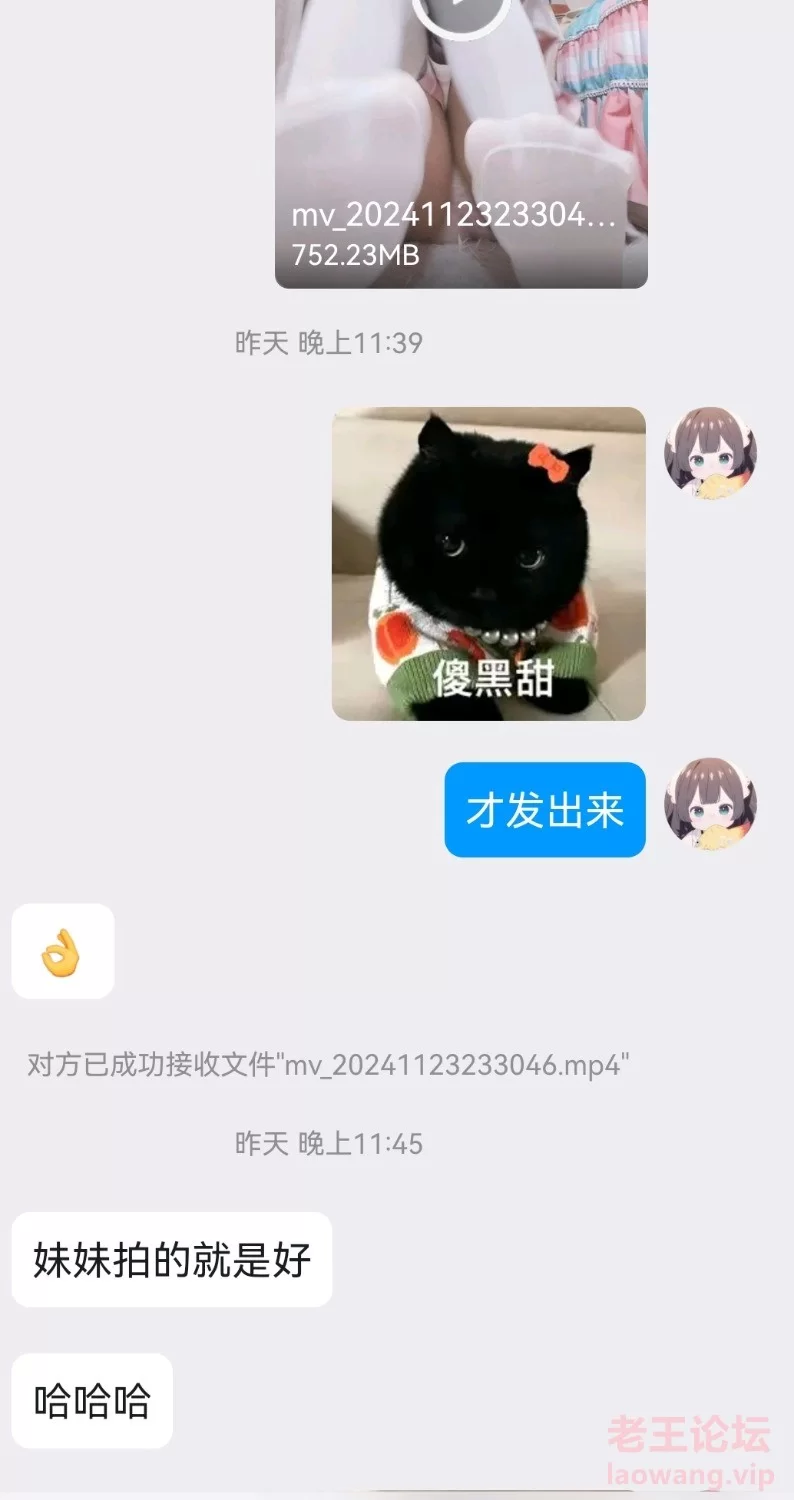 Screenshot_20240929_144314_com.tencent.mobileqq_batch_0_1727881496483.jpg