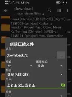 <b style='color: red;'>[已失效] </b>[自行打包] pinkjoe老师超社保本子合集 [14本+510.43mb][百度盘]