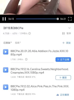 [转载搬运] 黑白配bbc系列 [180左右+170G][磁力链接]